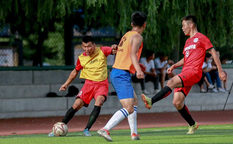 球员团队 球员团队