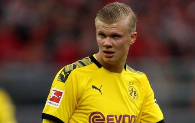 效率与观赏 效率与观赏